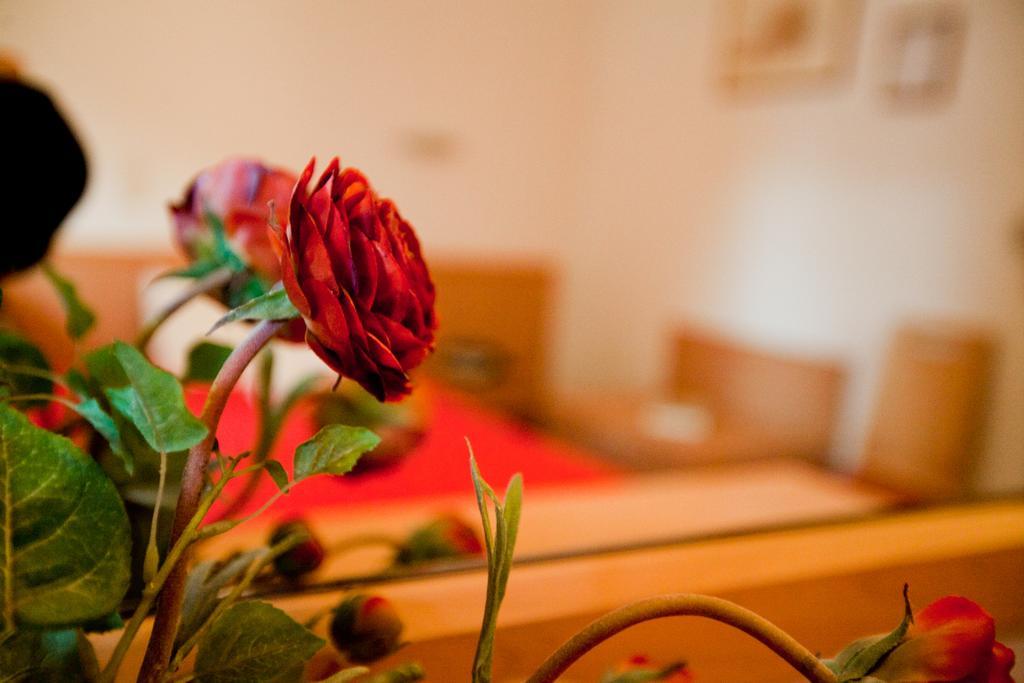 Hotel Possidon Aegina Cameră foto